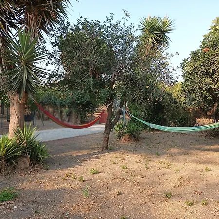 Plane Tree For Nature Lovers- Free Rv & Campervan Parking
