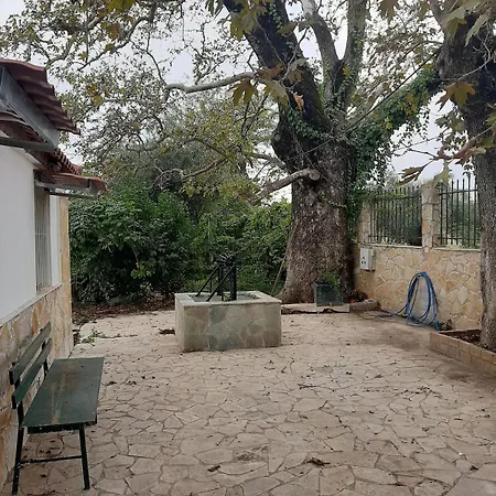 Holiday home Plane Tree For Nature Lovers- Free Rv & Campervan Parking Amaliada
