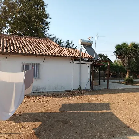 Holiday home Plane Tree For Nature Lovers- Free Rv & Campervan Parking Amaliada